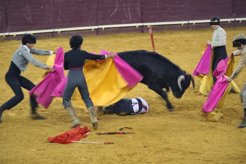 Crianças em touradas