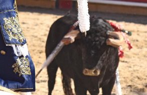 Imagem de uma tourada em Portugal.