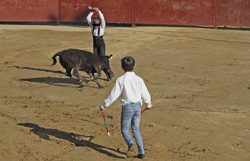 Crianças de escola de toureio