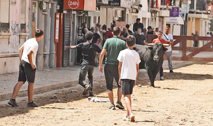 crianças no Colete Encarnado
