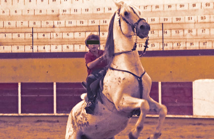 Tomás Moura - Cavaleiro tauromáquico