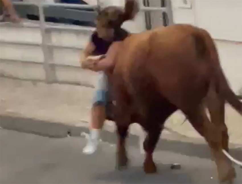 Criança colhida em Coruche