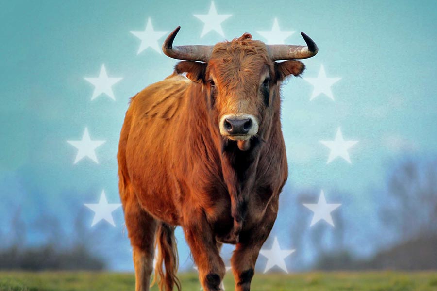 Tauromaquia subsídios da União Europeia