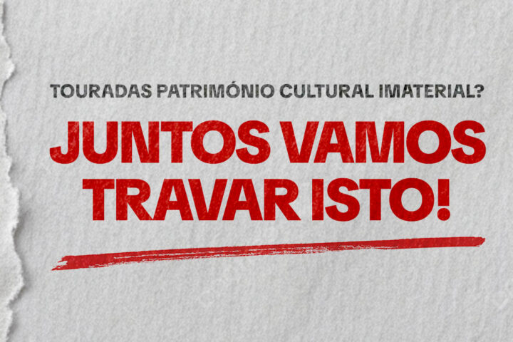 Contra as touradas património Cultural Imaterial