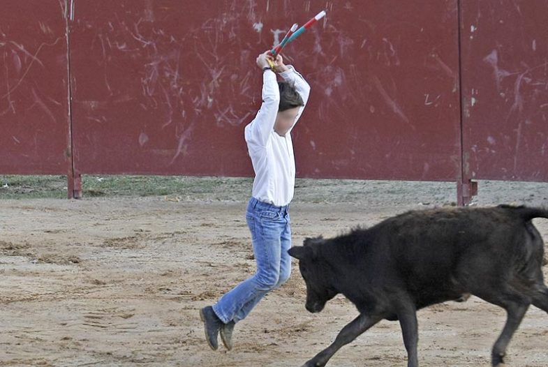 Criança a tourear no CNEMA em Santarém.